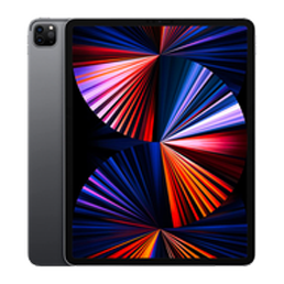 iPad Pro 12.9 5th Gen (Wi-Fi + Cellular)