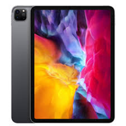 iPad Pro 12.9 4th Gen (Wi-Fi Only)